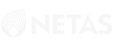 Netaş